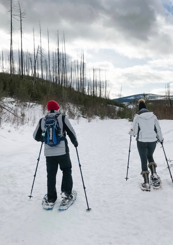 Snowshoeing at Myra-Bellevue